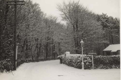 Park Lane Winter 1956